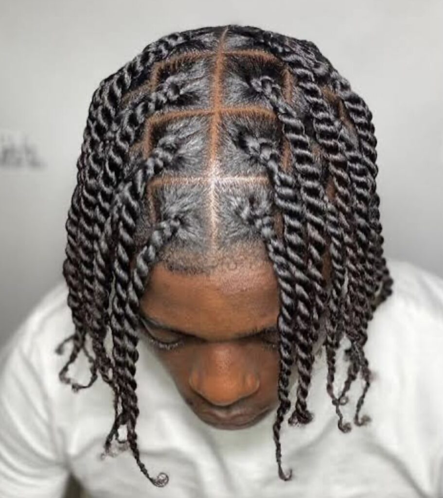 Twist braids in Toronto Downtown